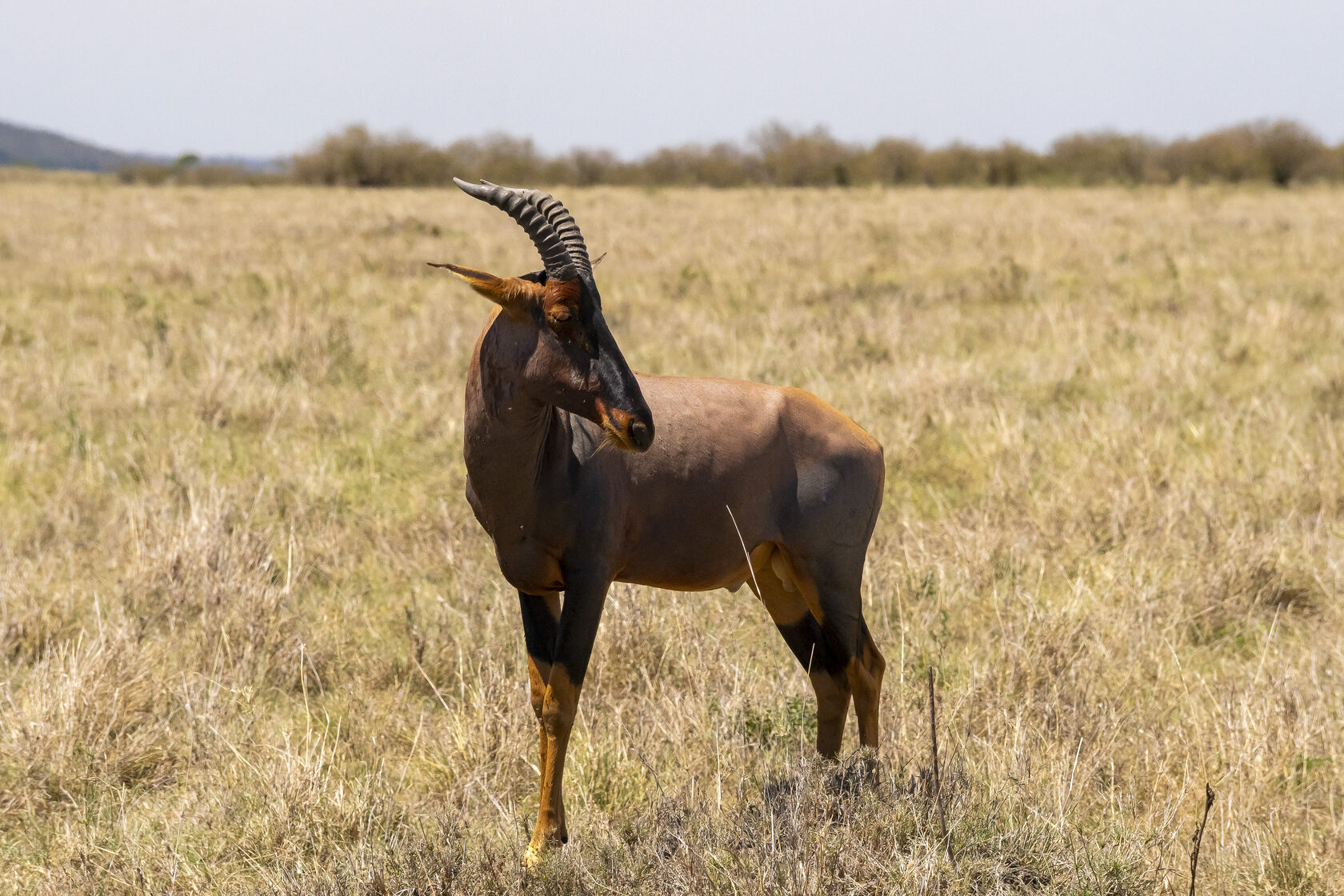 Кения, январь 2022