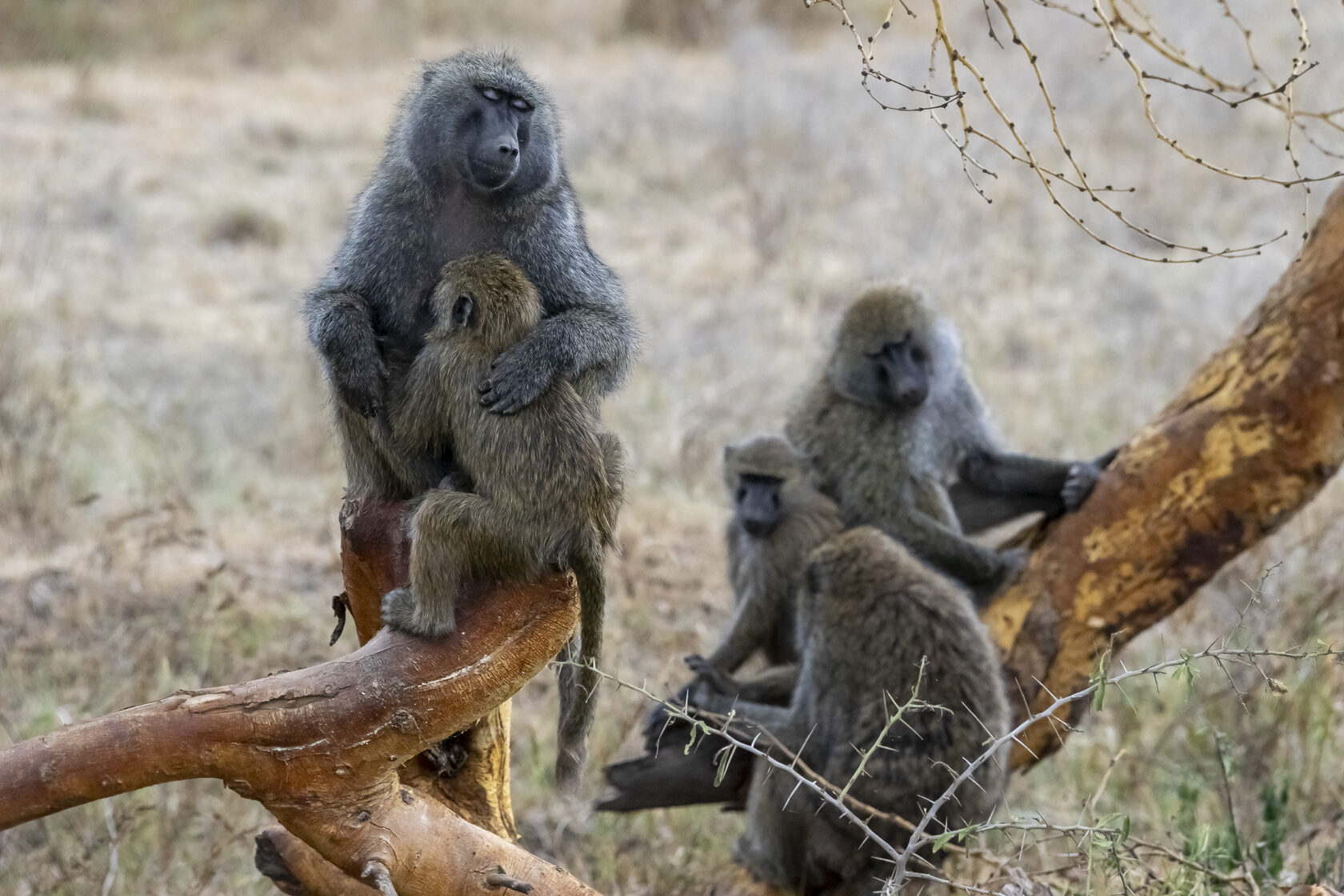 Кения, январь 2022