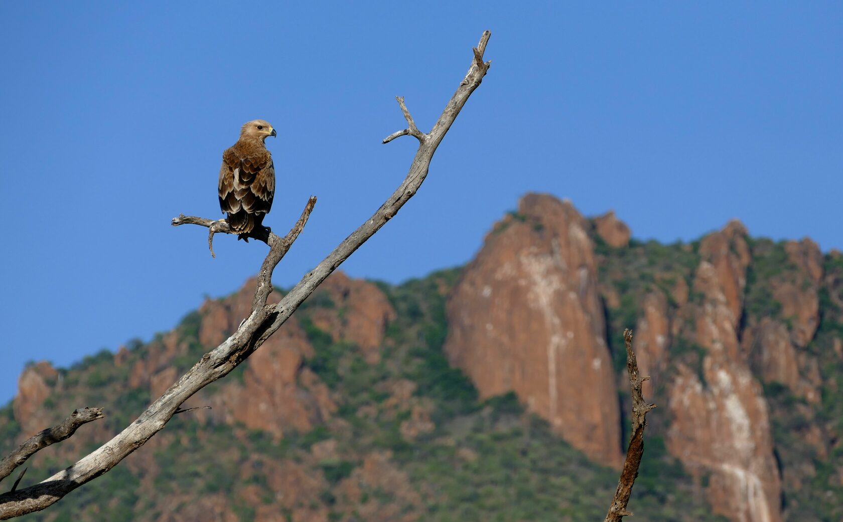 Кения, январь 2022