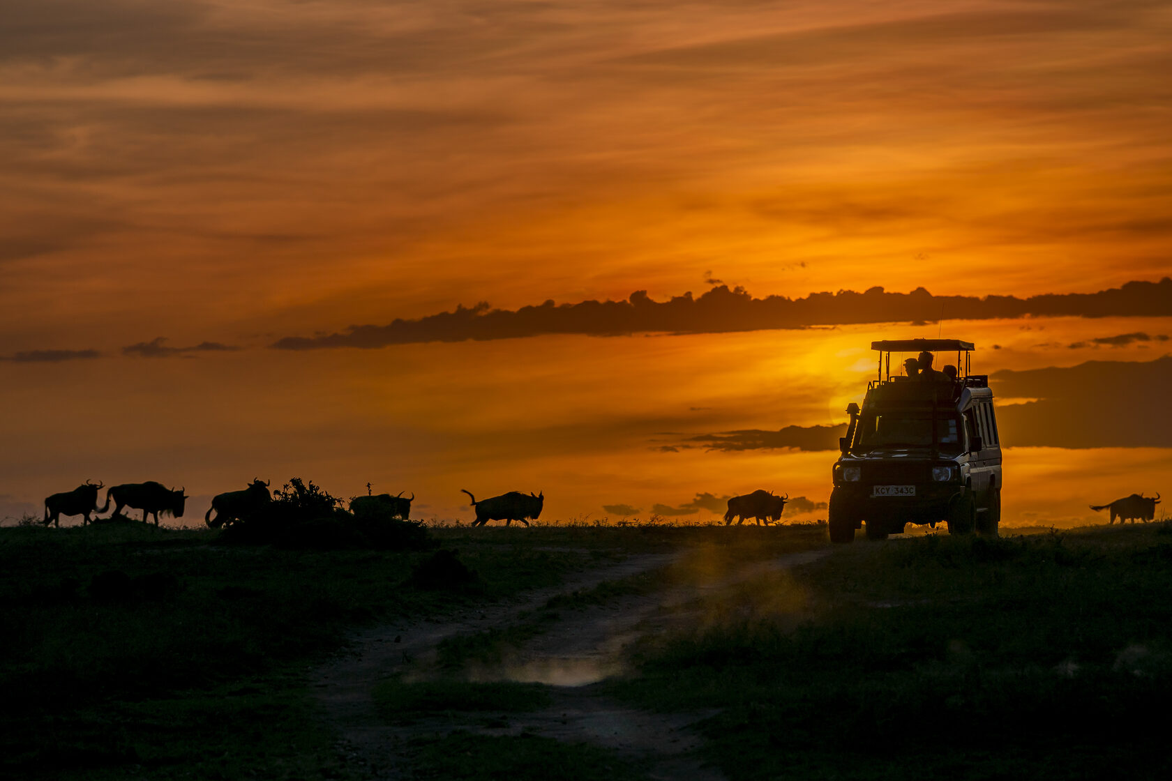 Кения, январь 2022