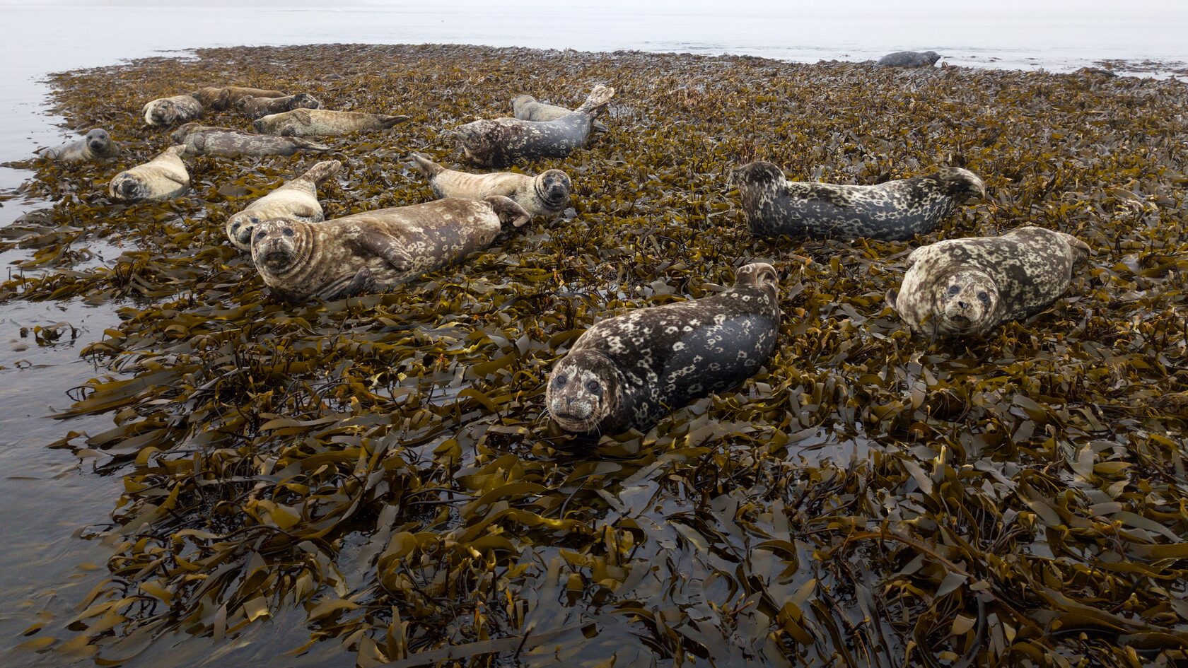 Курильские острова, июль 2022