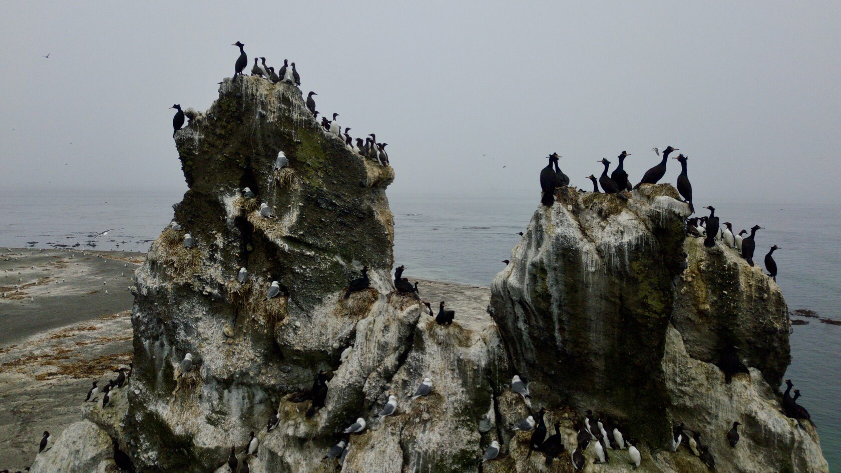 Курильские острова, июль 2022