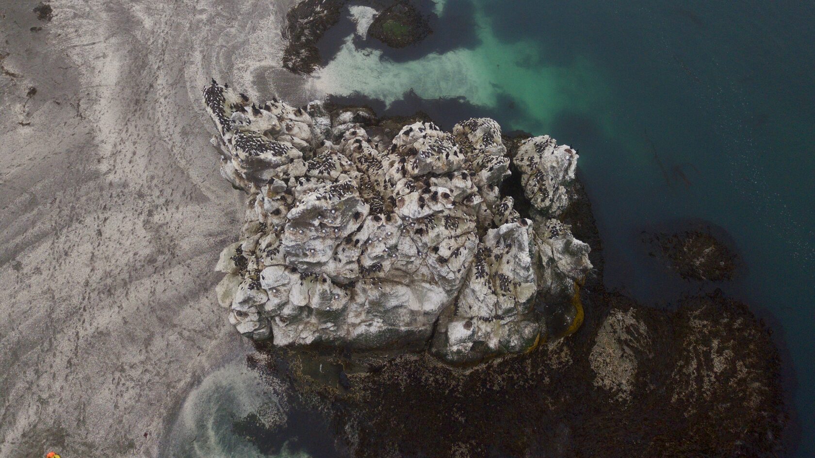 Курильские острова, июль 2022