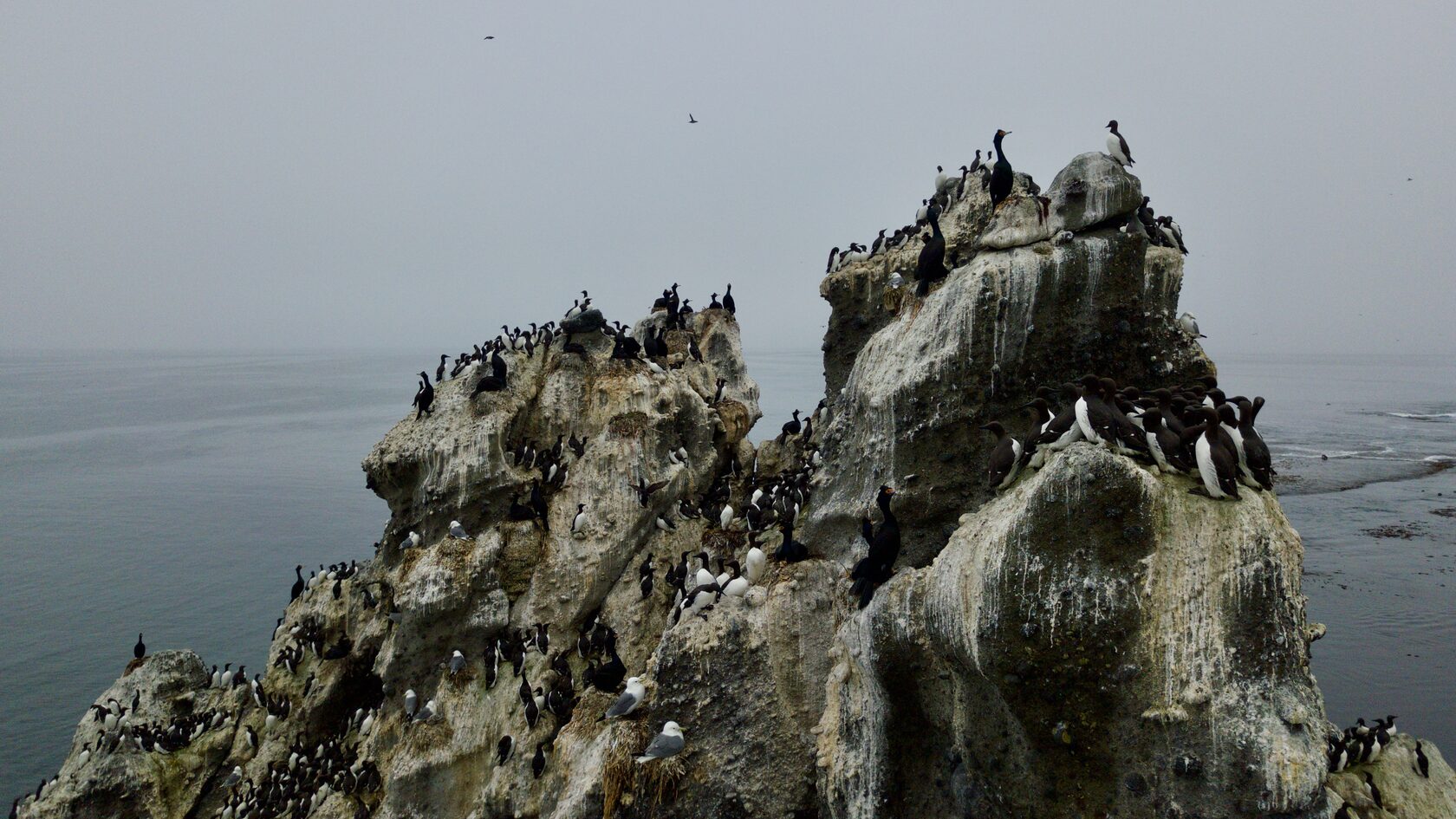 Курильские острова, июль 2022