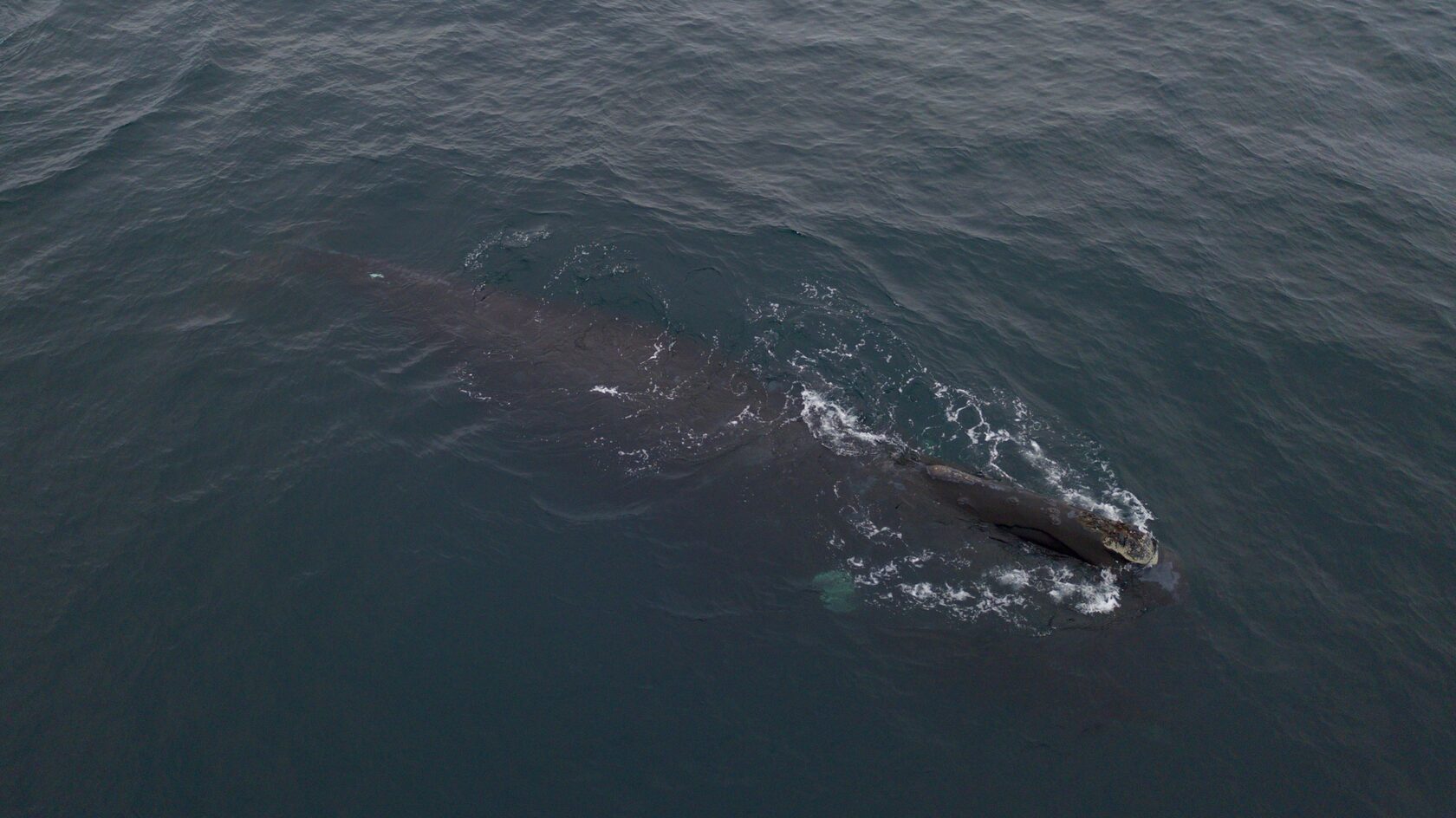 Курильские острова, июль 2022