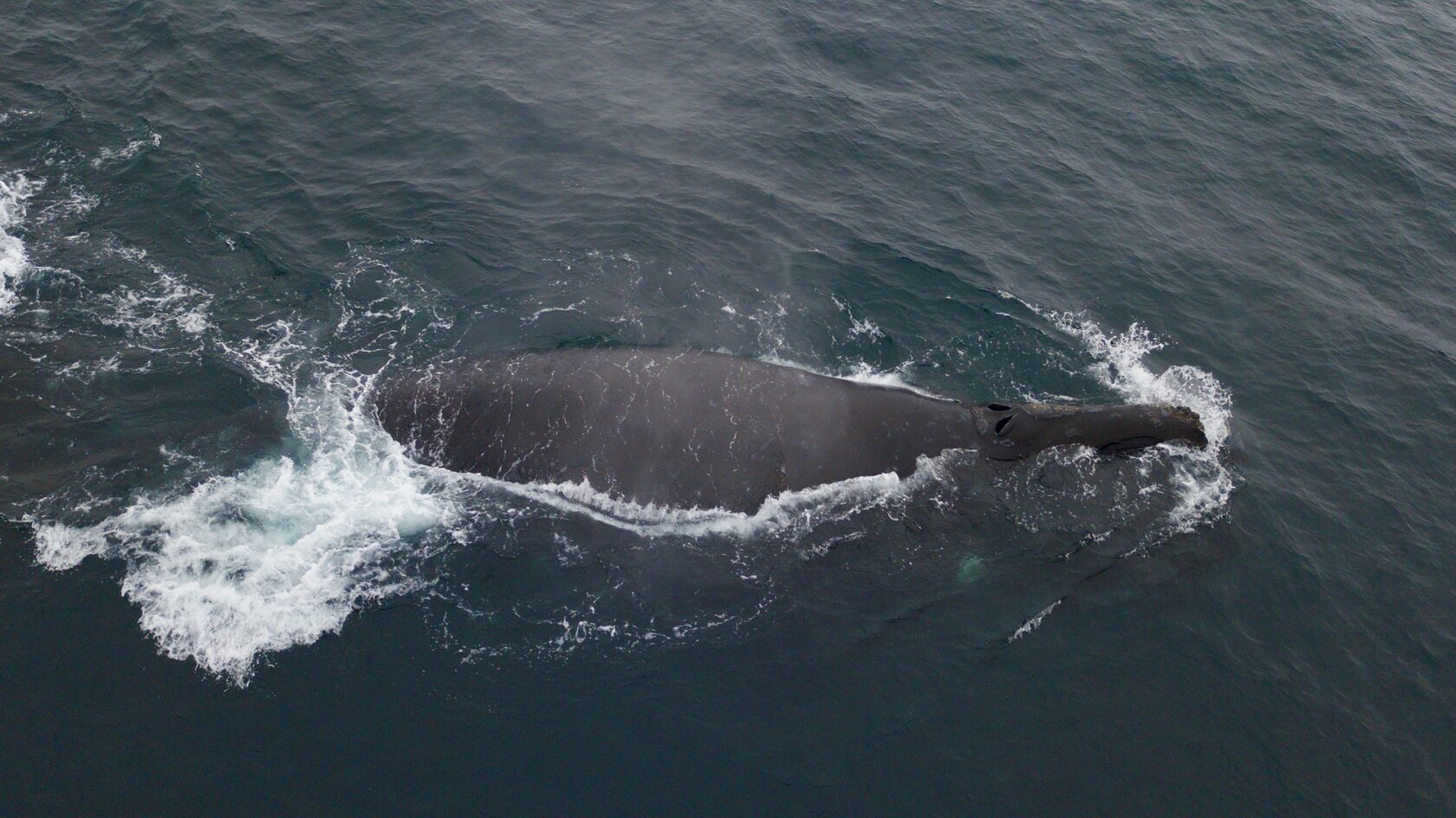 Курильские острова, июль 2022