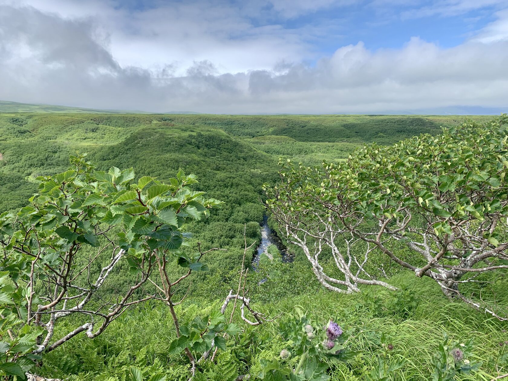 Курильские острова, июль 2022