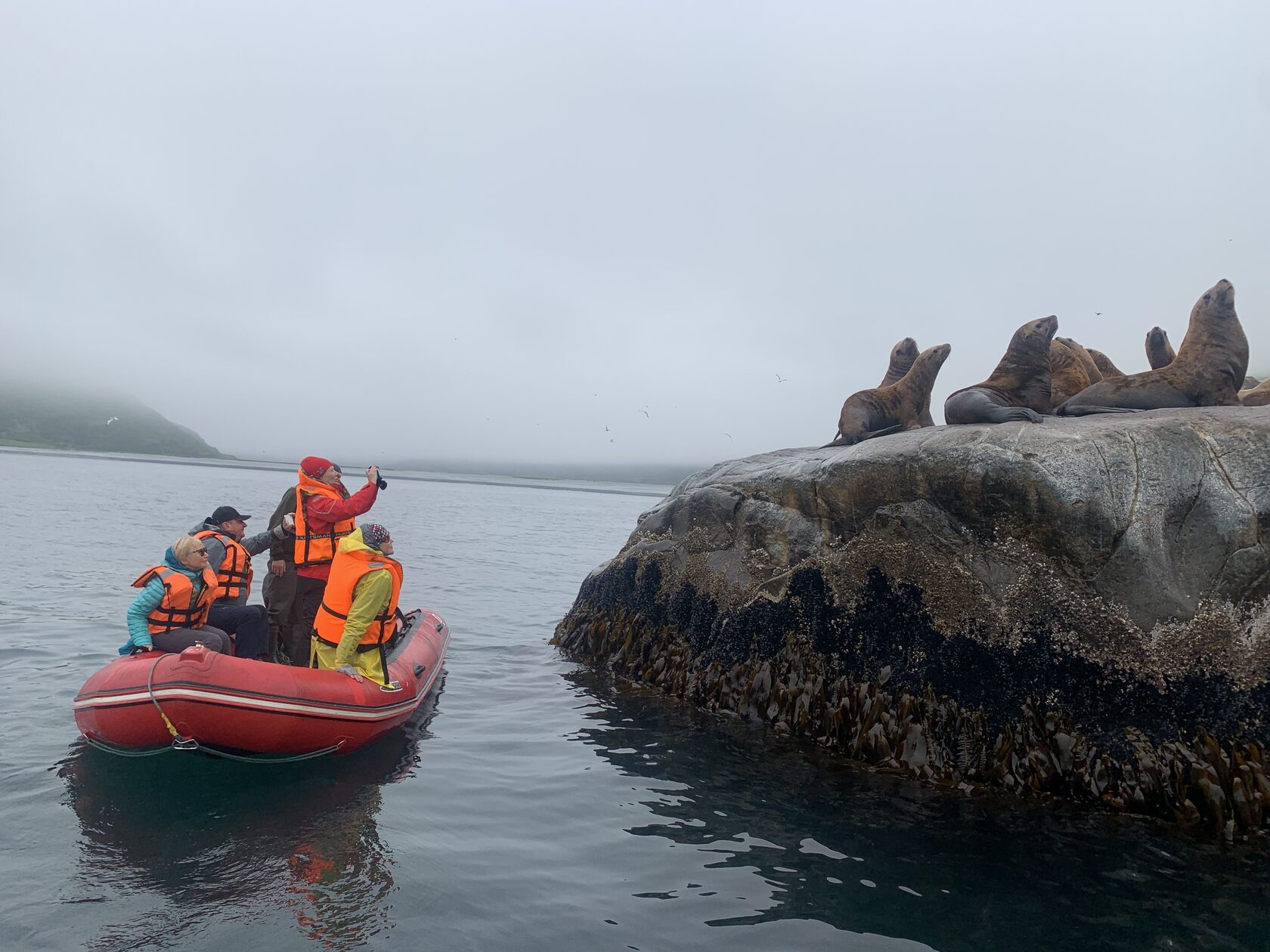 Курильские острова, июль 2022