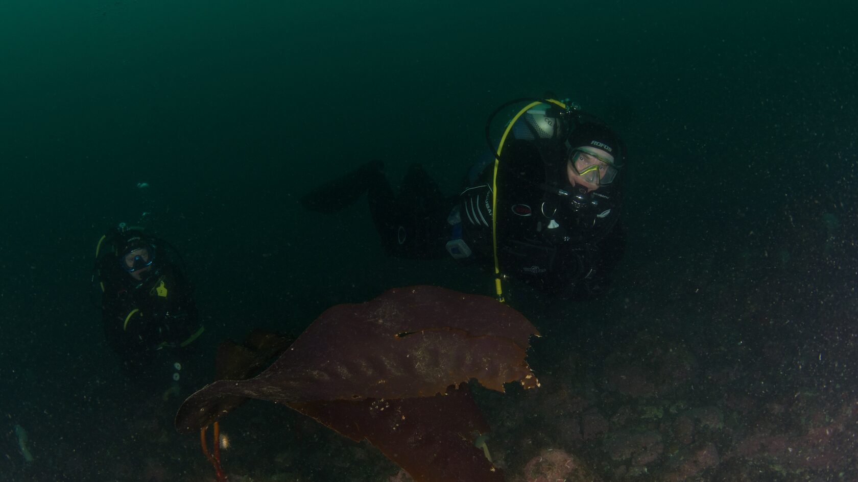 Курильские острова, июль 2022