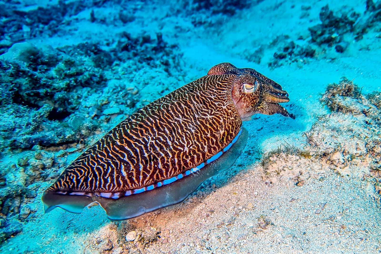 Мальдивы, октябрь 2021