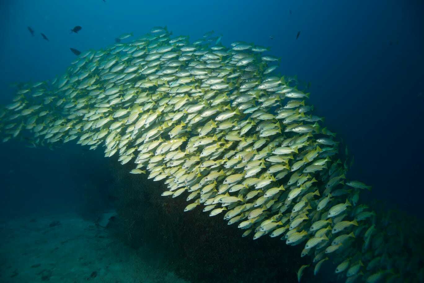 Мальдивы, октябрь 2021