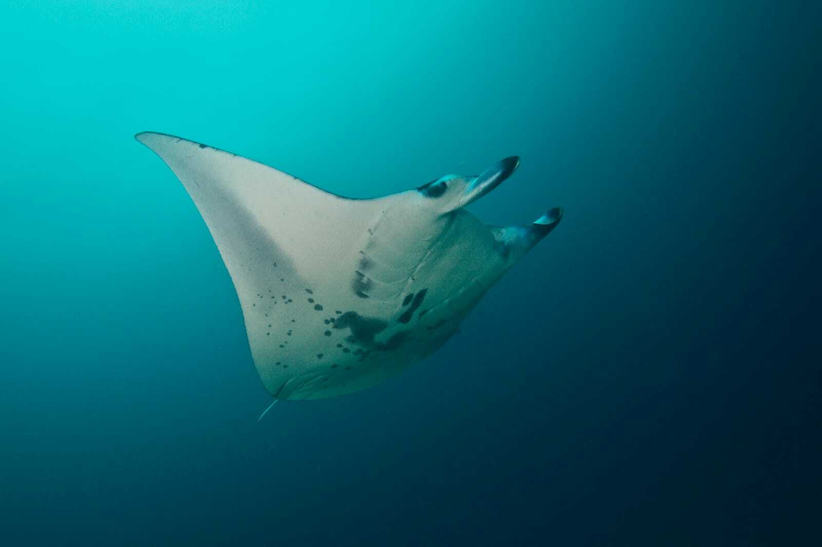 Мальдивы, октябрь 2021