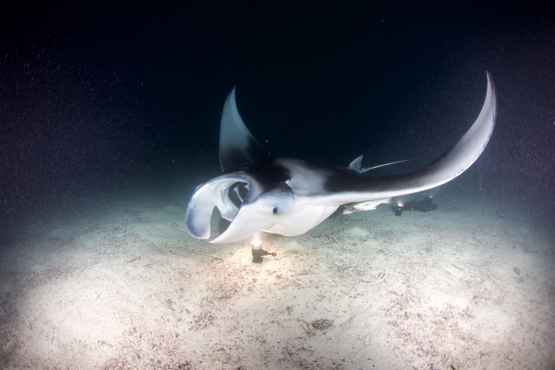 Мальдивы, декабрь 2024