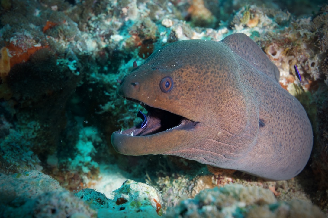 Мальдивы, декабрь 2024