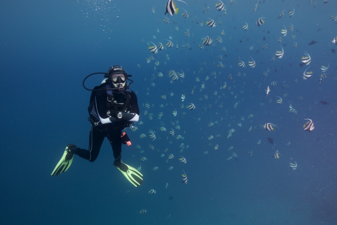 Мальдивы, декабрь 2024