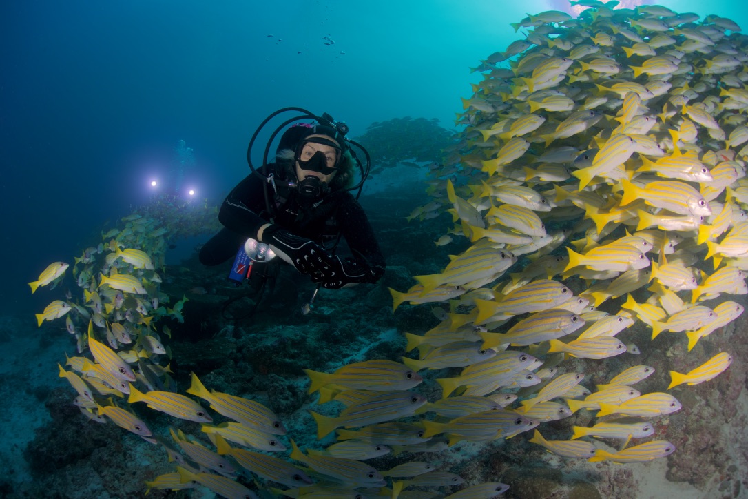 Мальдивы, декабрь 2024