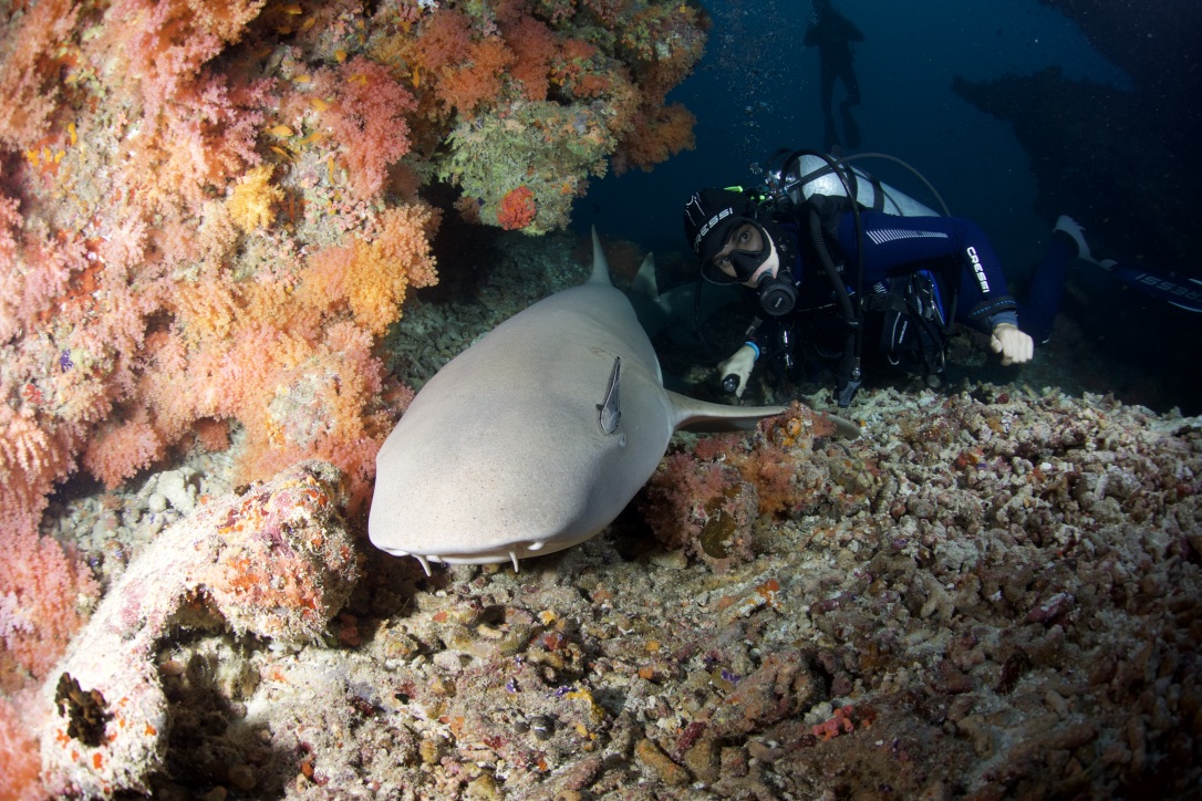 Мальдивы, декабрь 2024