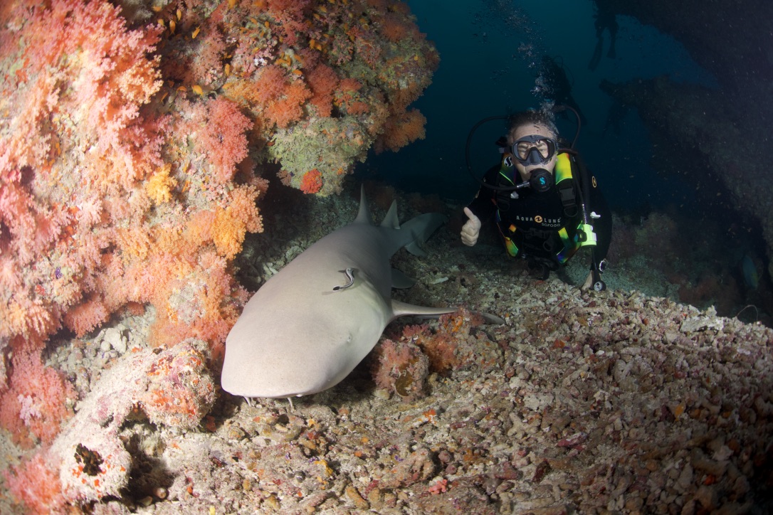 Мальдивы, декабрь 2024