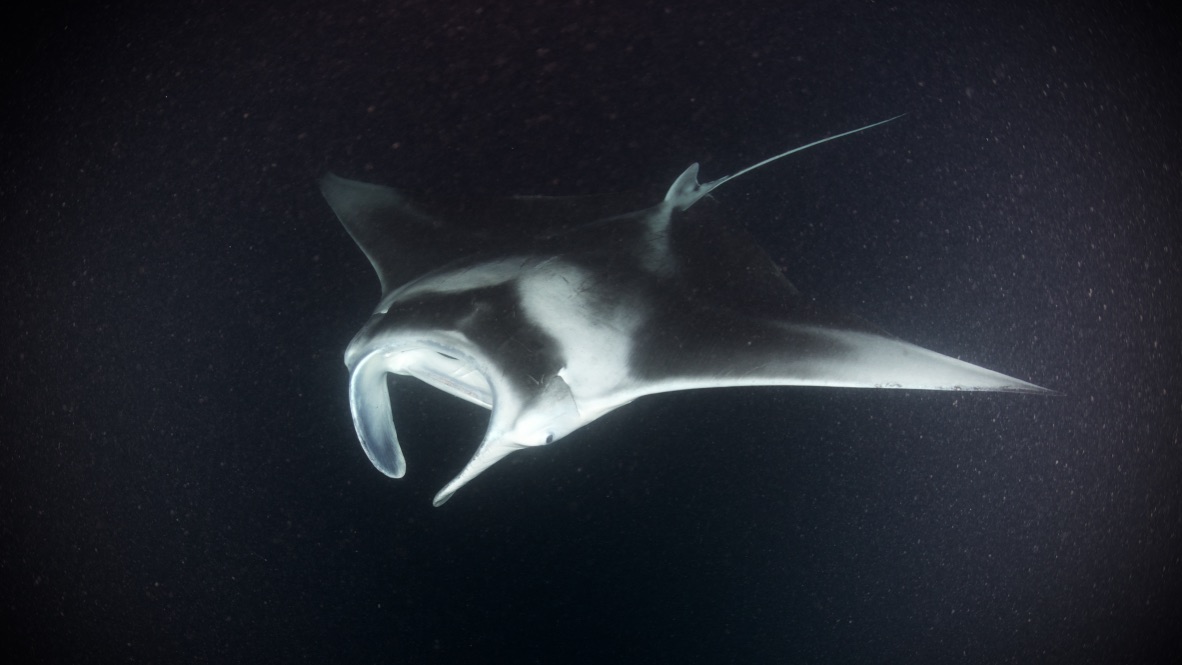 Мальдивы, декабрь 2024