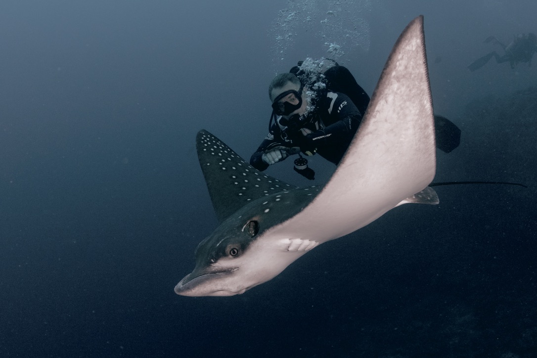 Мальдивы, декабрь 2024