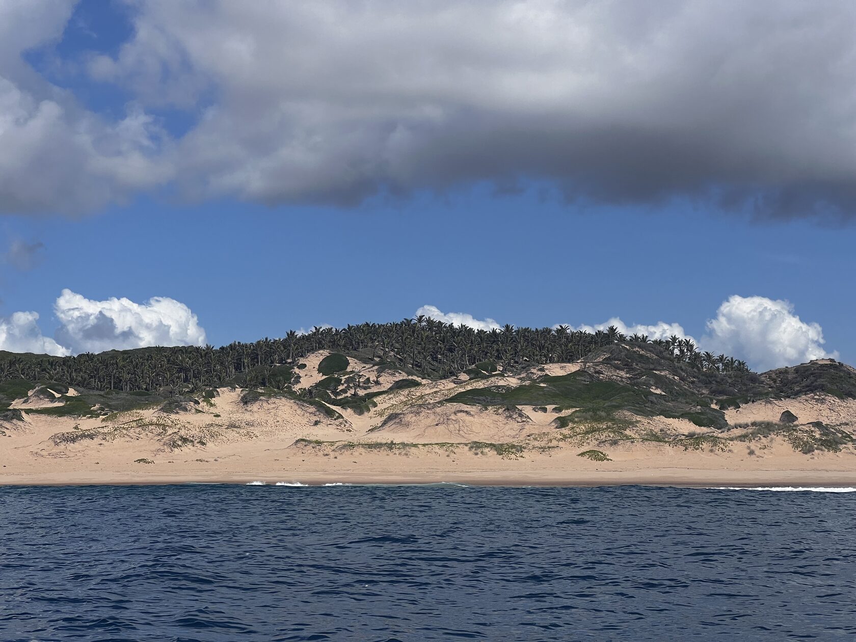 Мозамбик, январь 2024