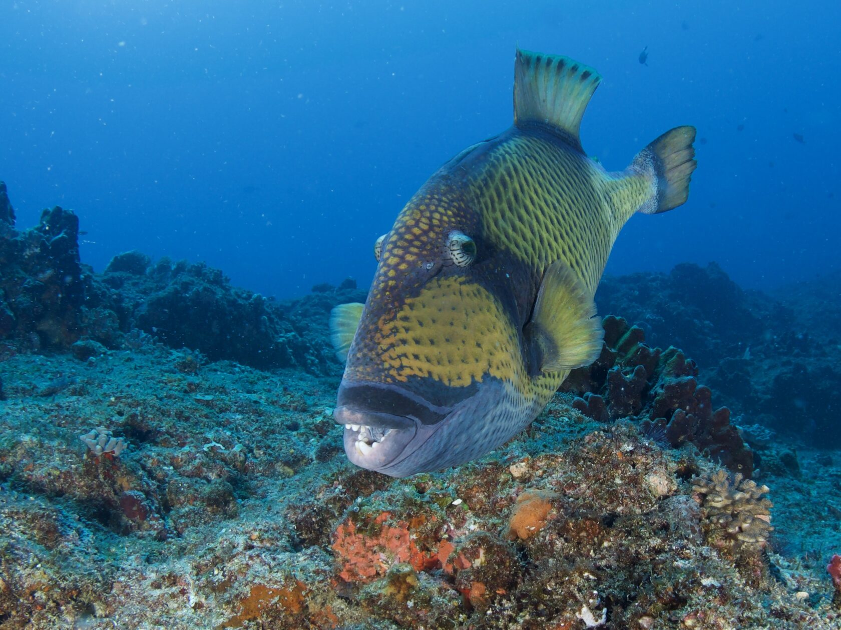 Мозамбик, январь 2024