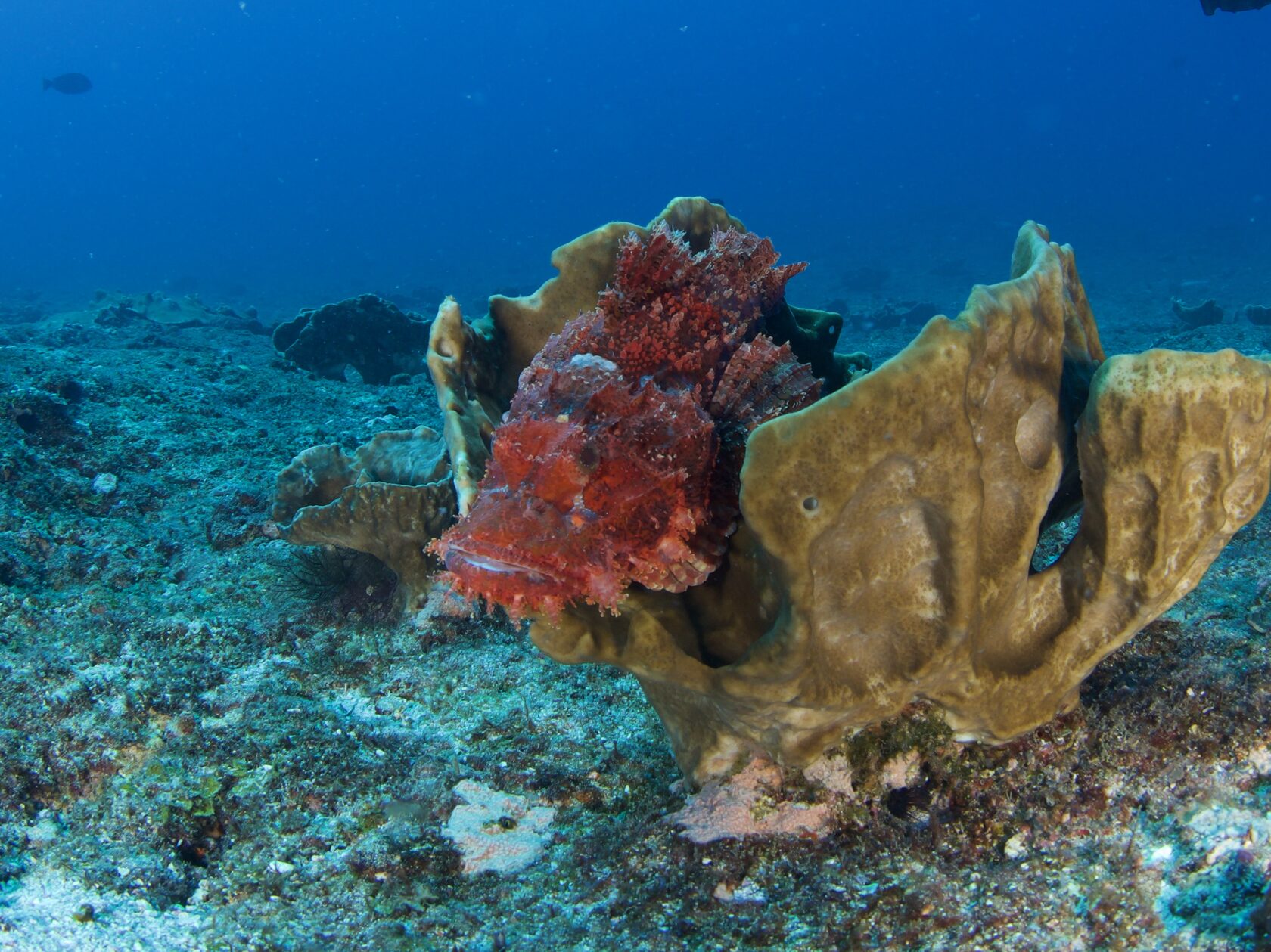 Мозамбик, январь 2024