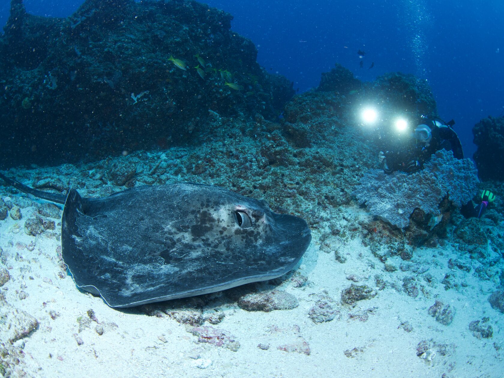 Мозамбик, январь 2024