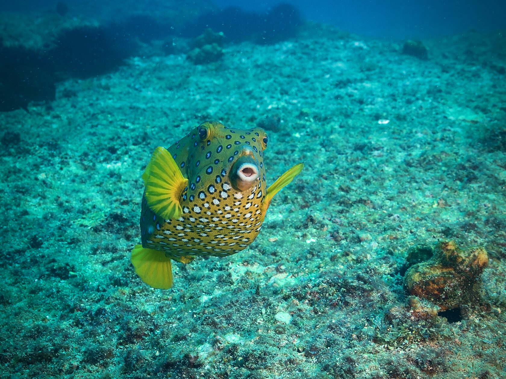 Мозамбик, январь 2024