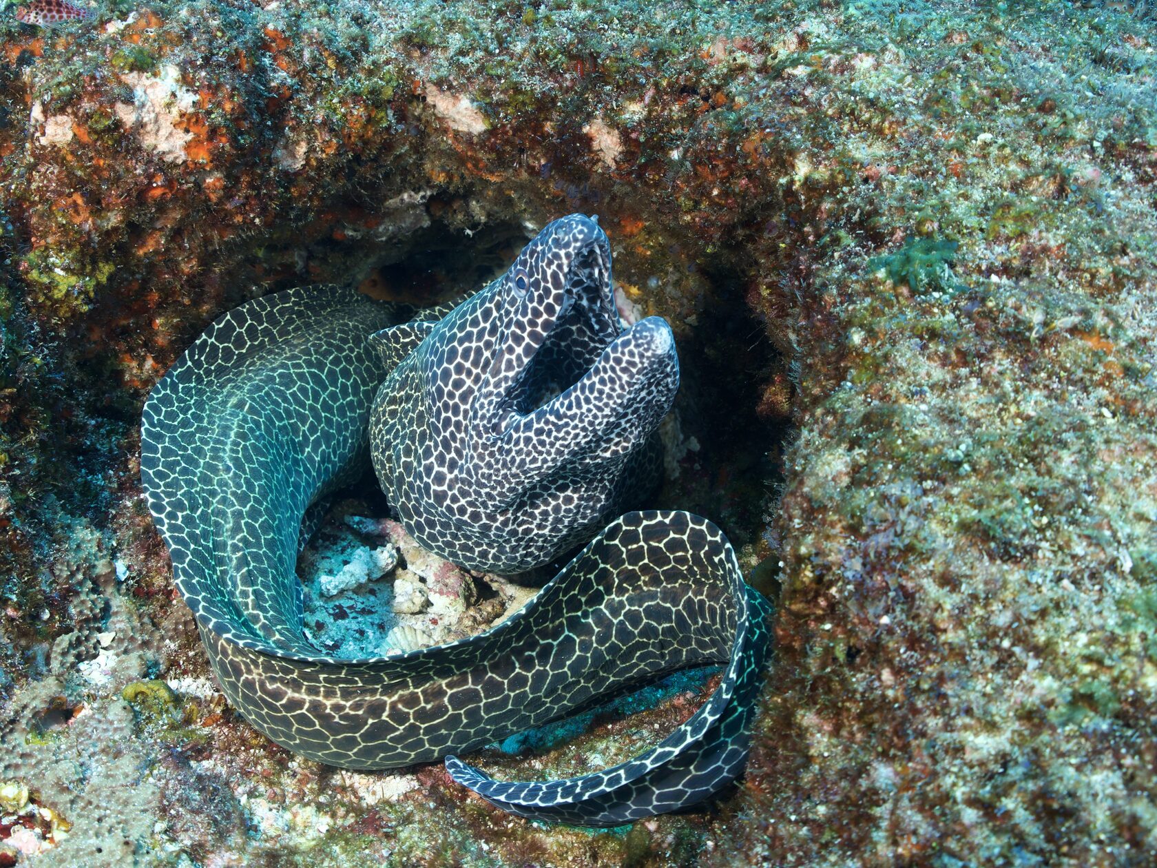 Мозамбик, январь 2024