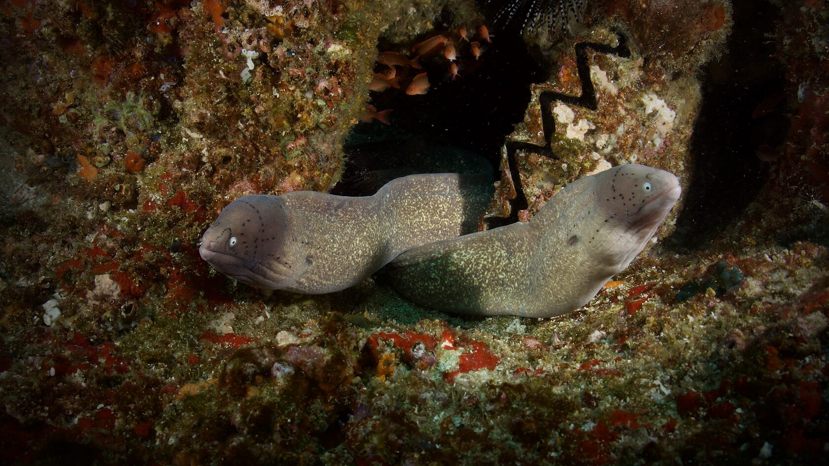 Мозамбик, январь 2024