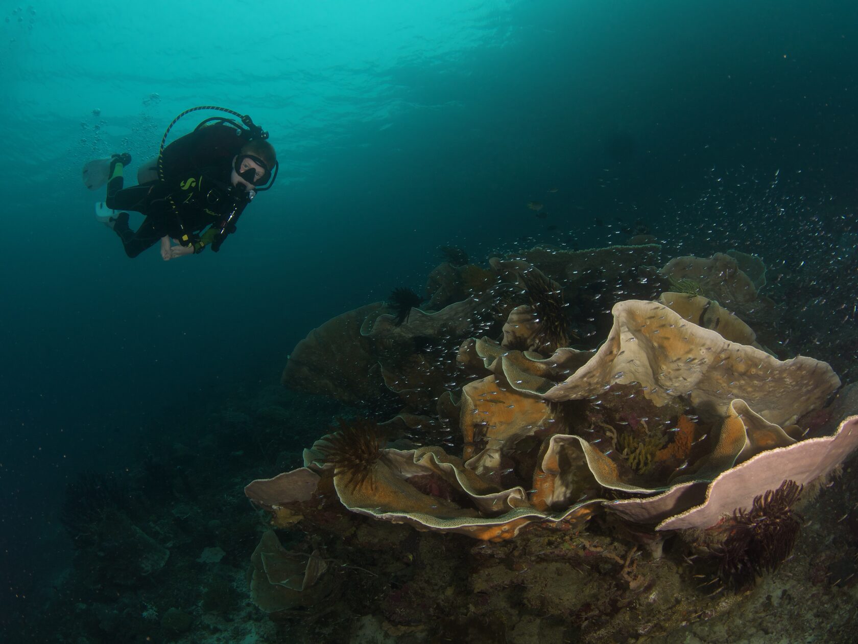 Папуа, январь 2023