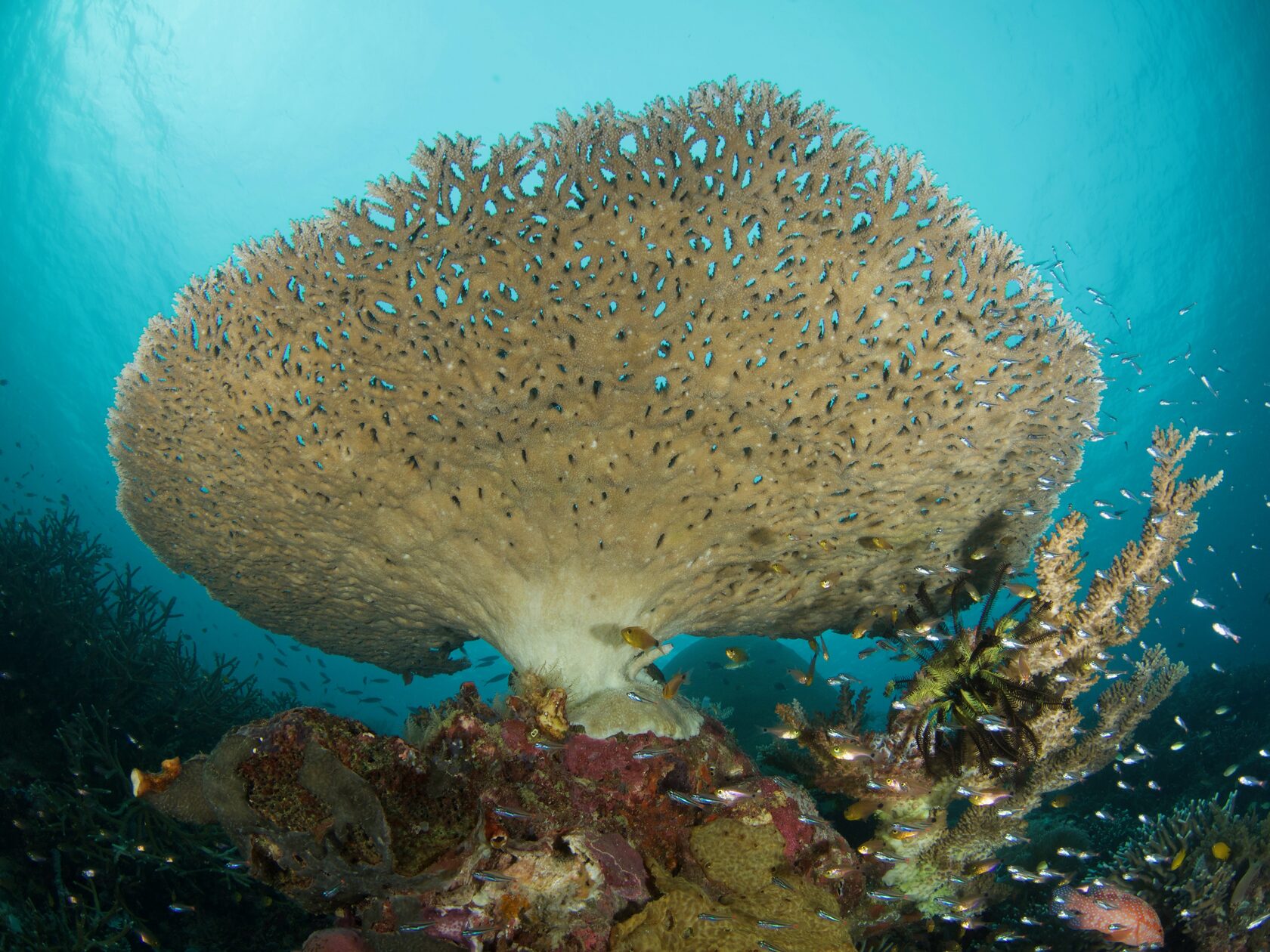 Папуа, январь 2023