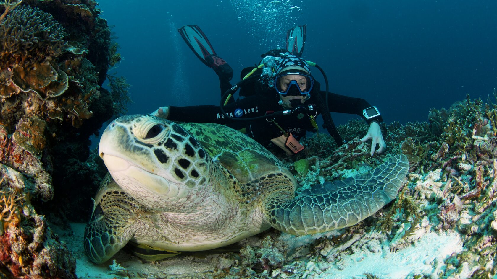 Папуа, январь 2023