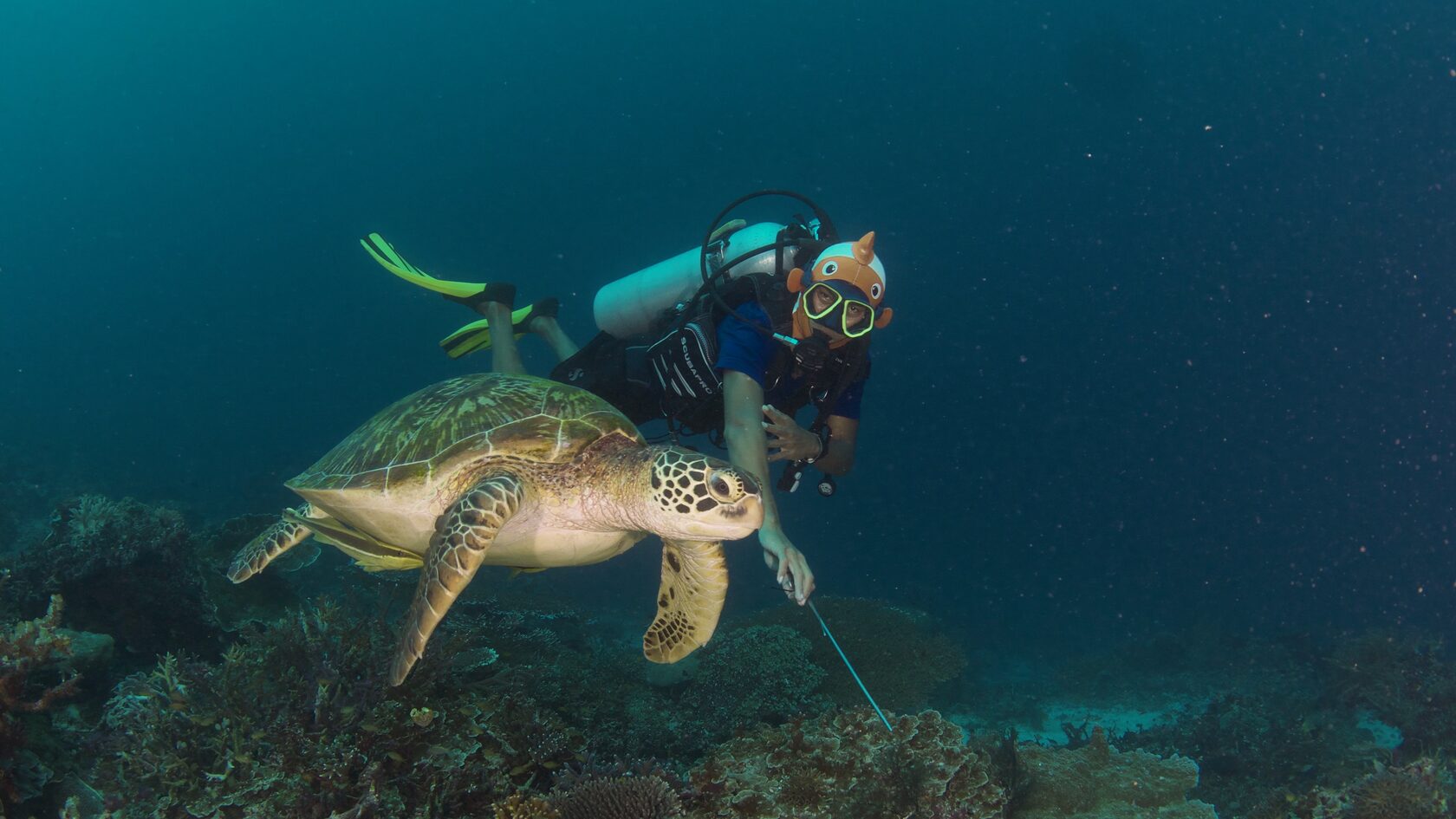 Папуа, январь 2023