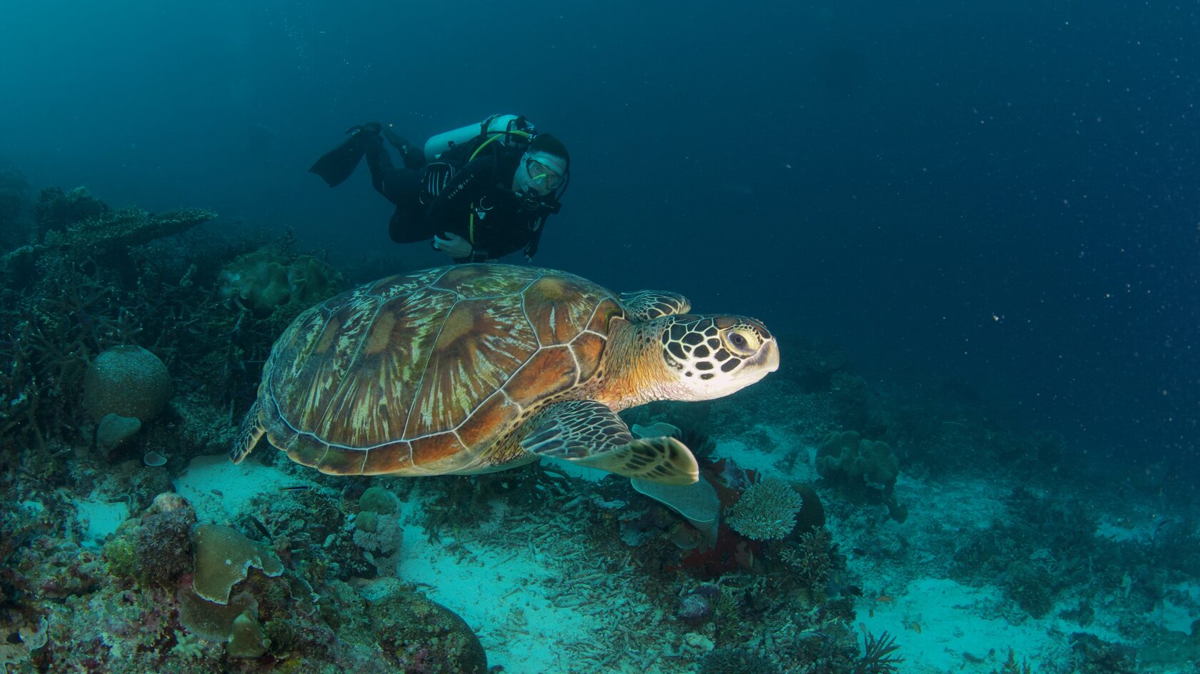 Папуа, январь 2023