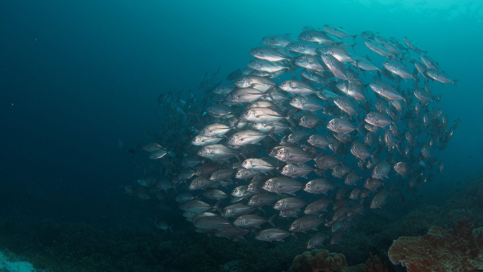 Папуа, январь 2023