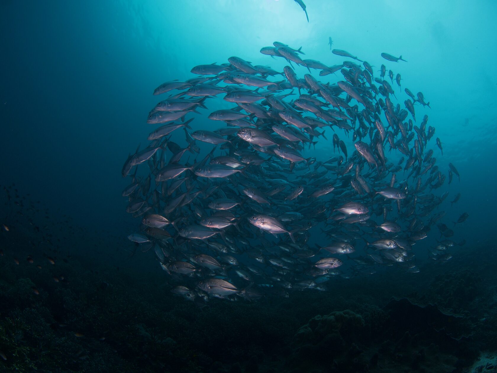 Папуа, январь 2023