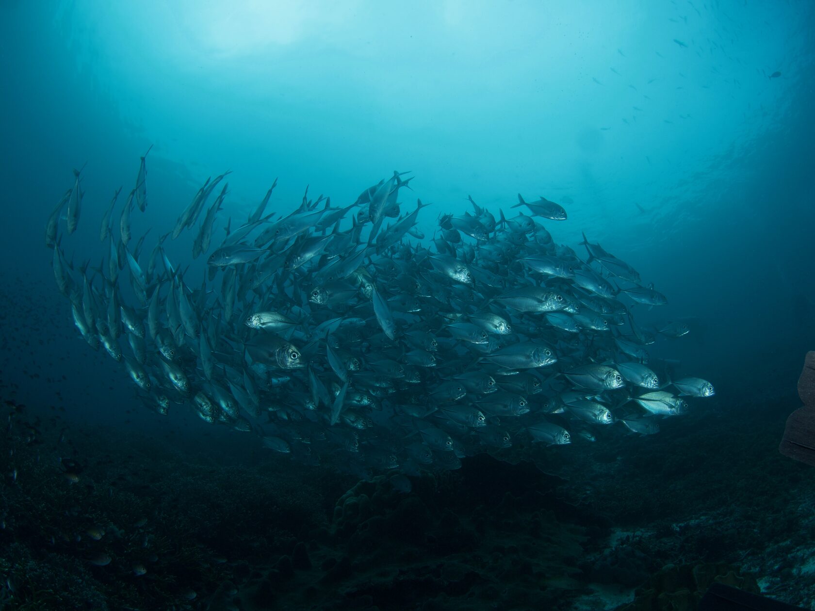 Папуа, январь 2023