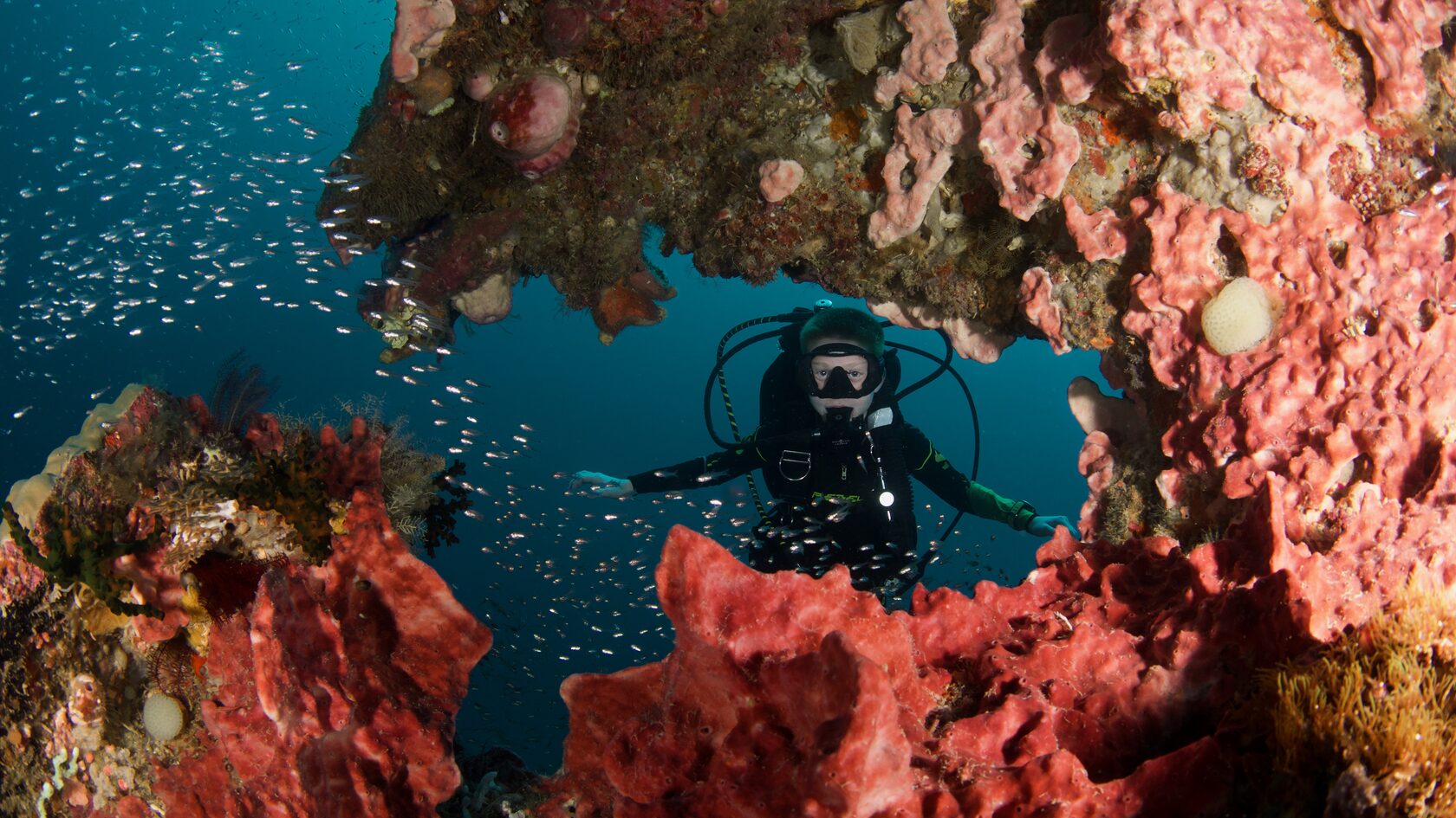 Папуа, январь 2023