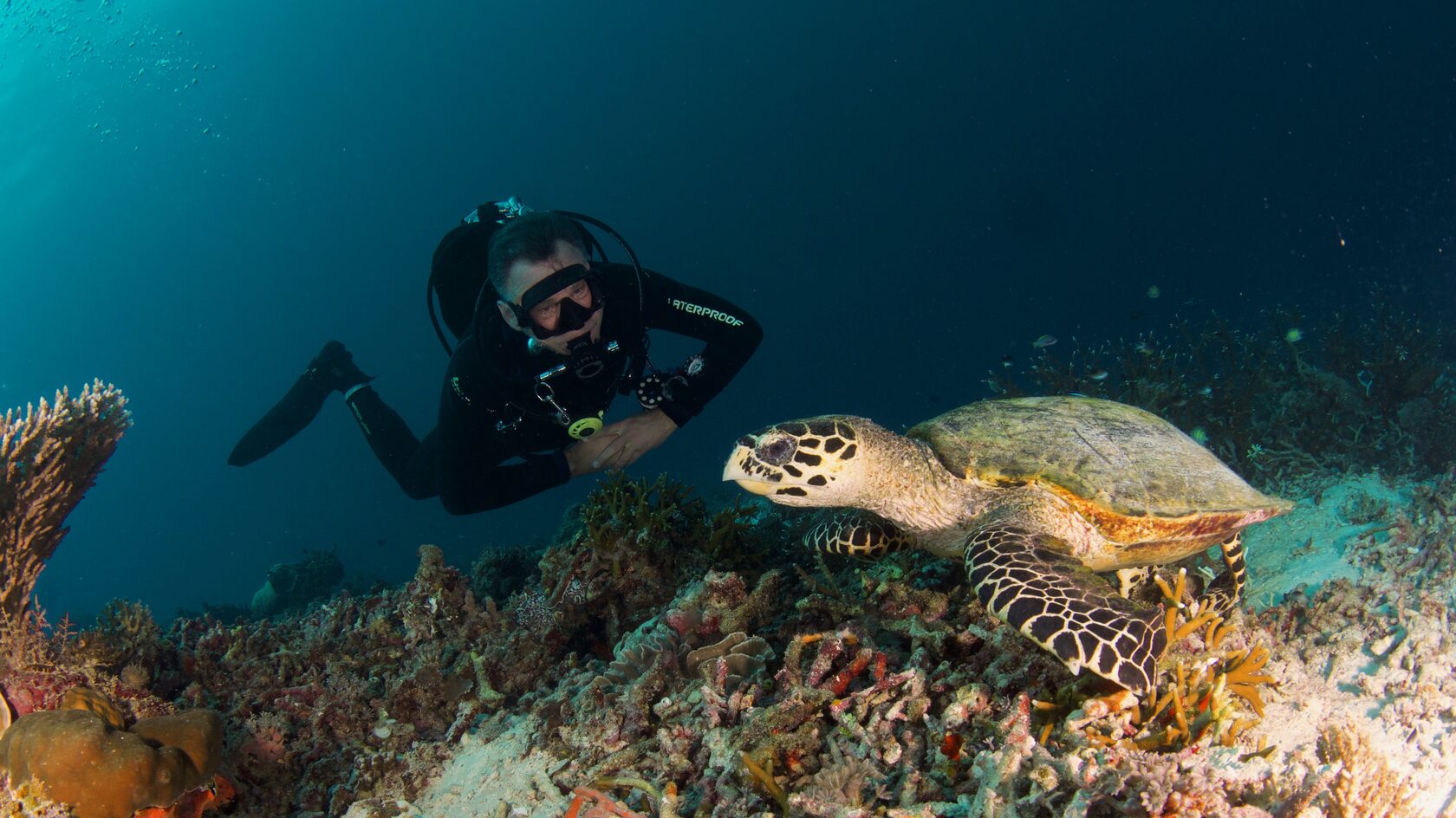 Папуа, январь 2023