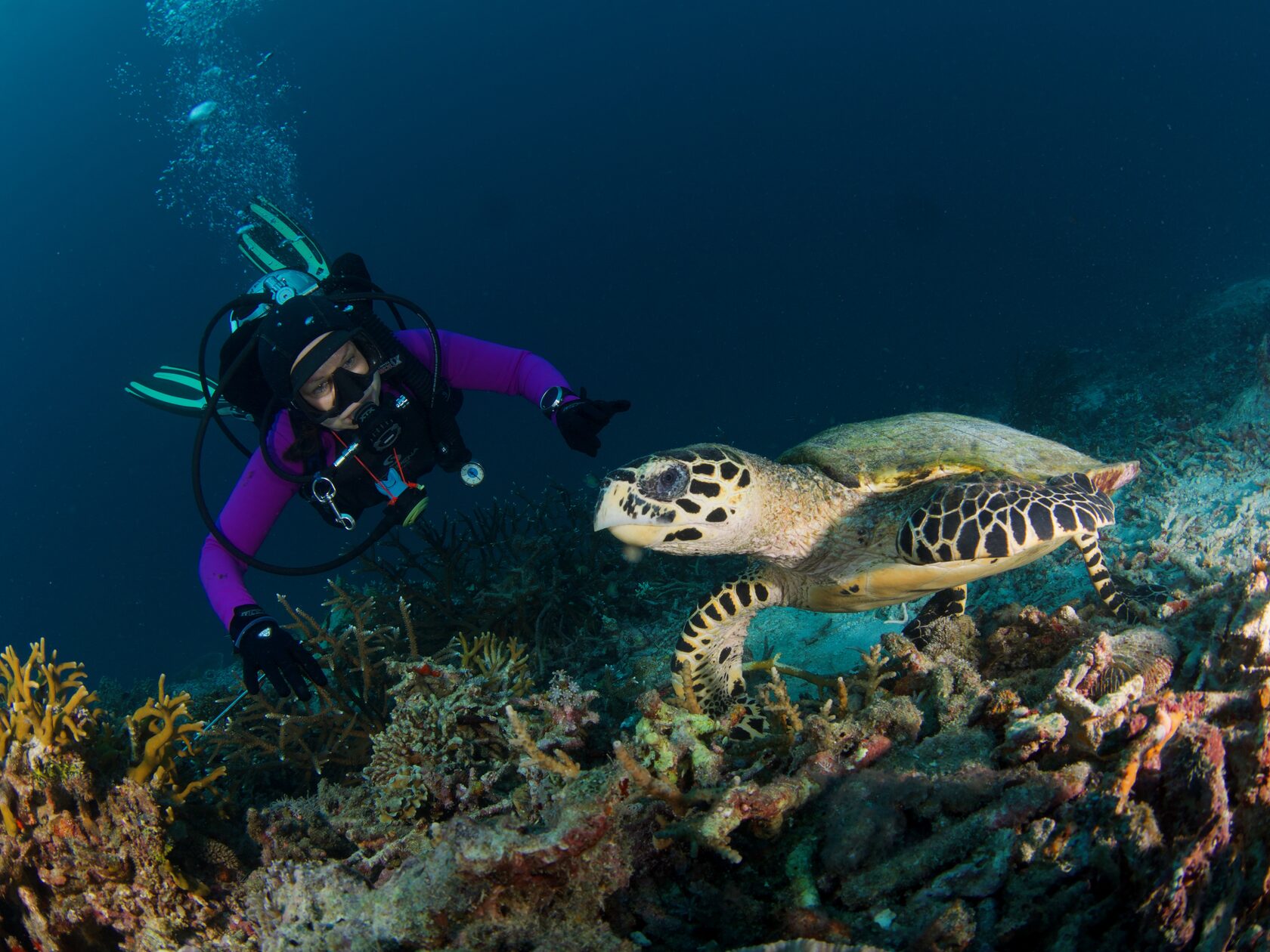 Папуа, январь 2023