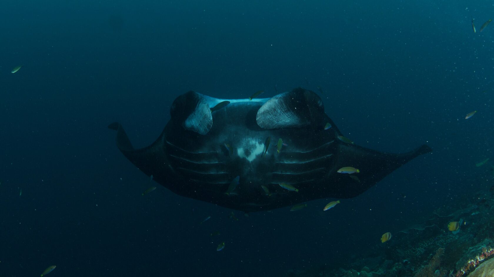 Папуа, январь 2023