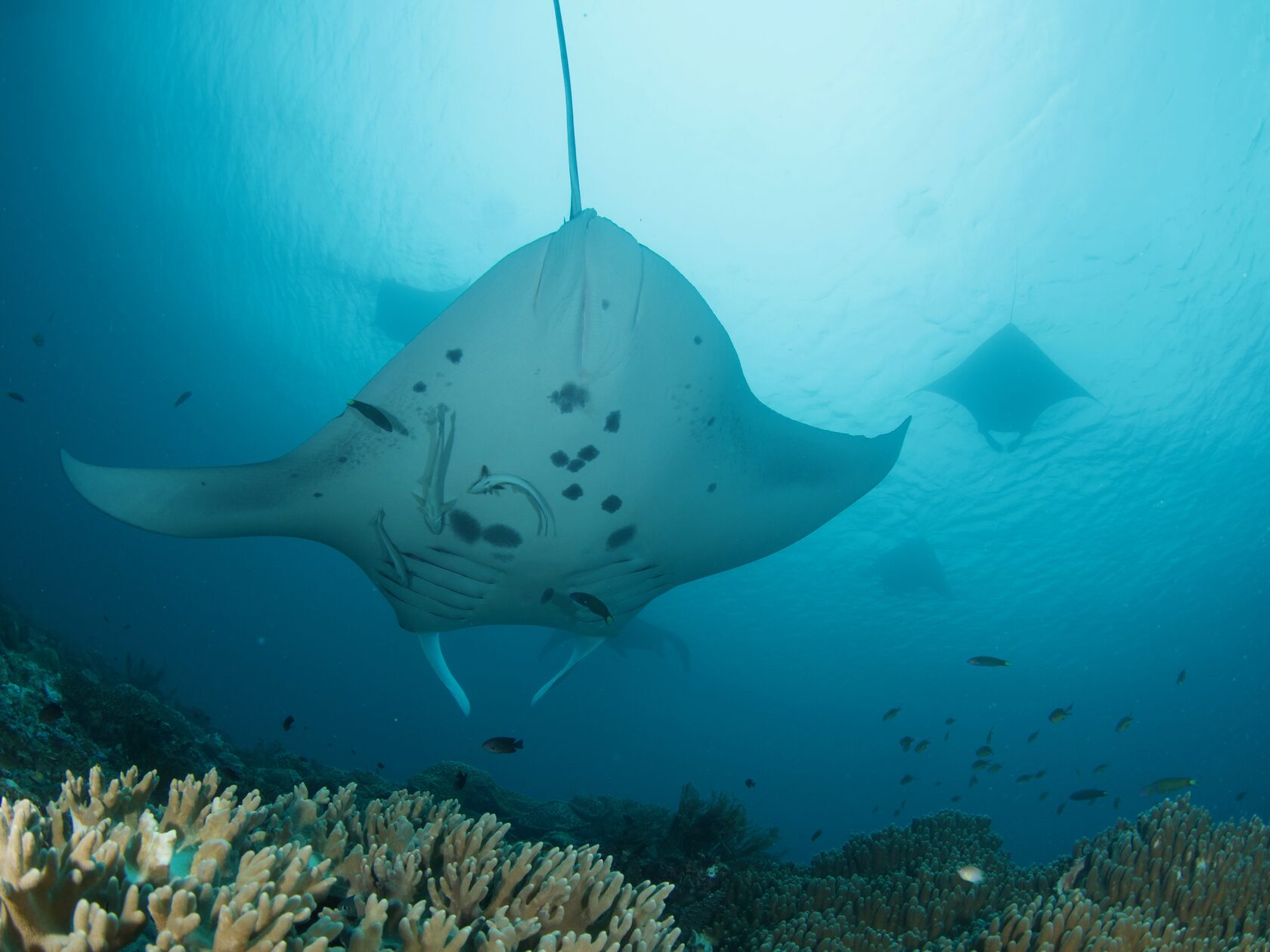 Папуа, январь 2023