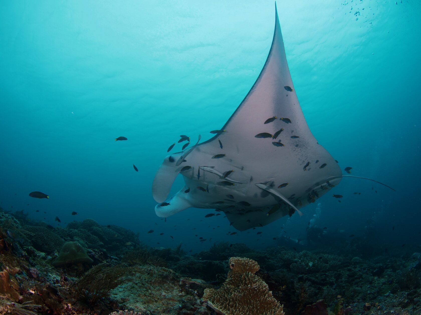 Папуа, январь 2023