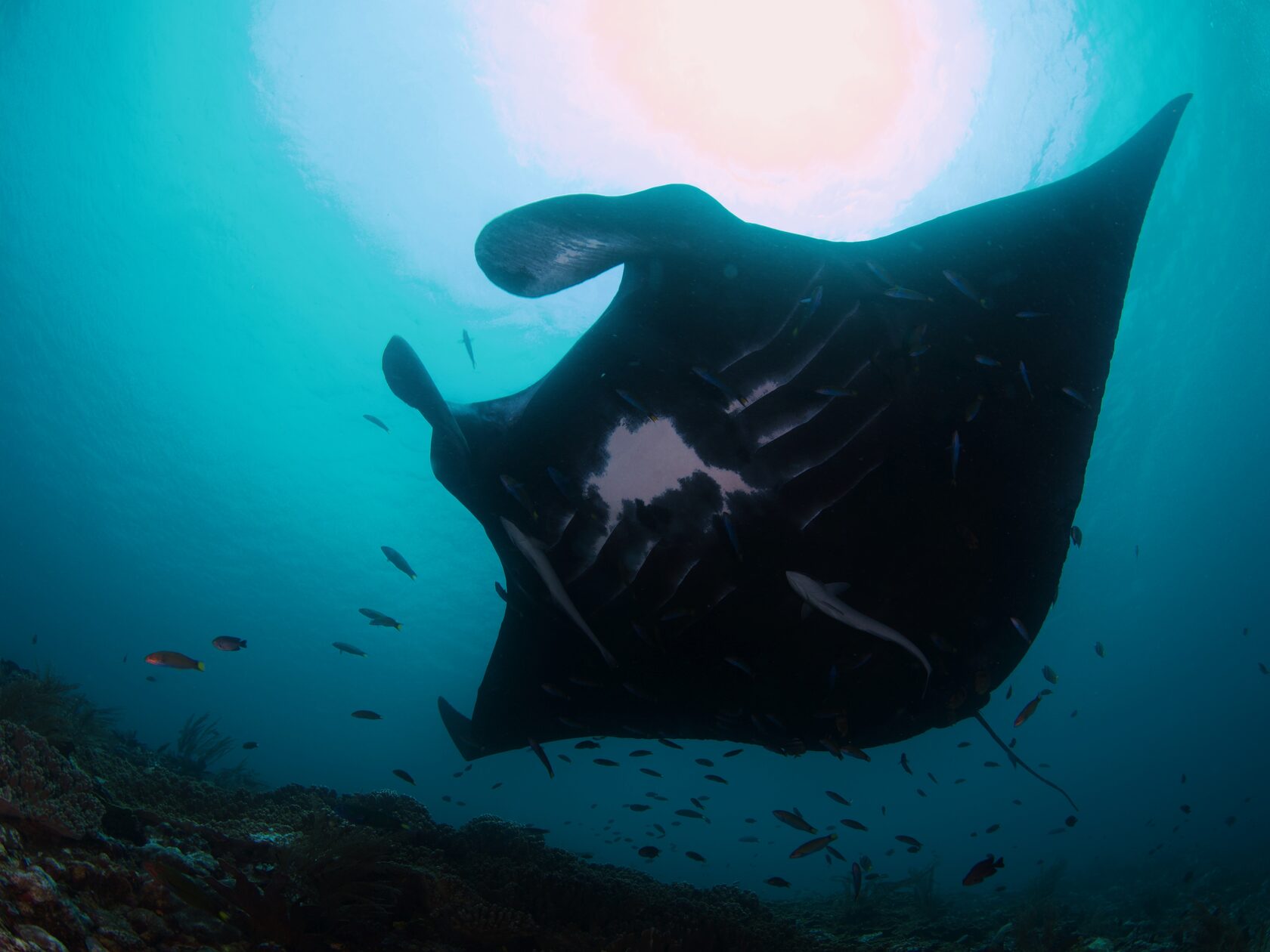 Папуа, январь 2023