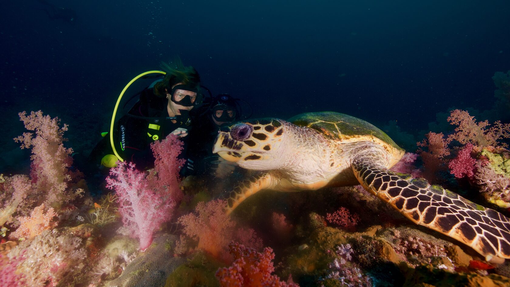 Саудовская Аравия, март 2025