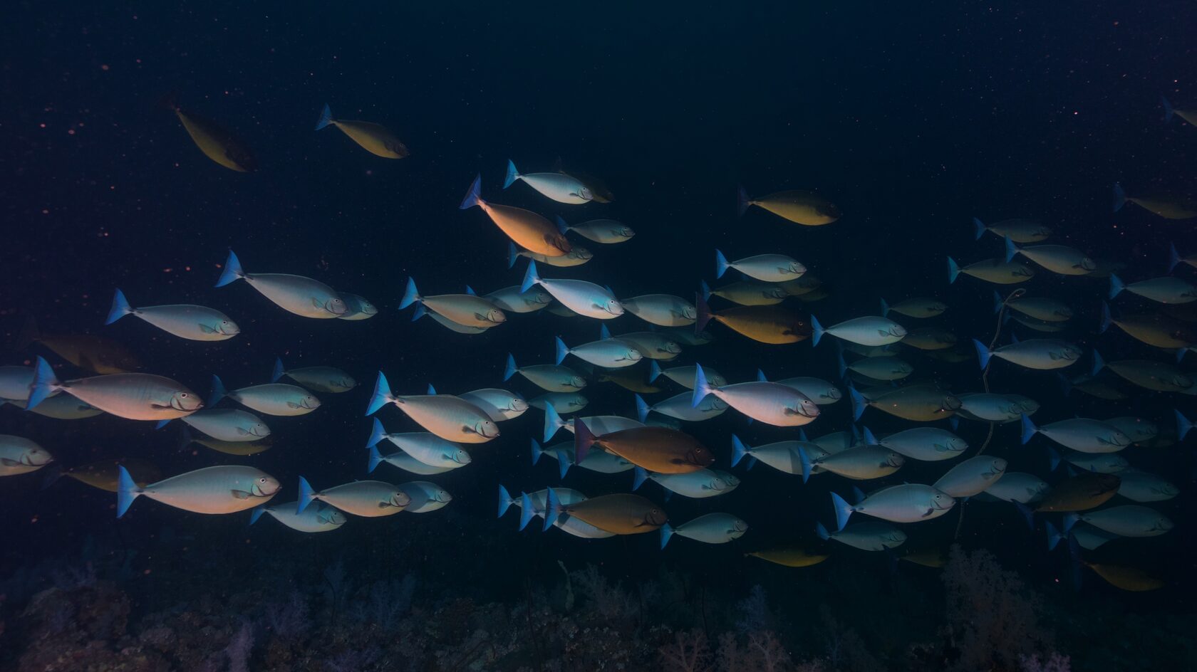 Саудовская Аравия, март 2025