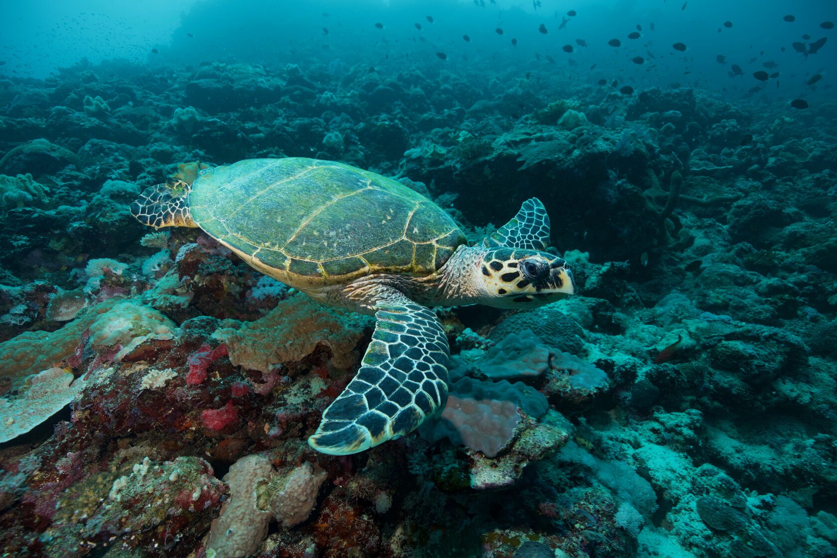 Саудовская Аравия, март 2025