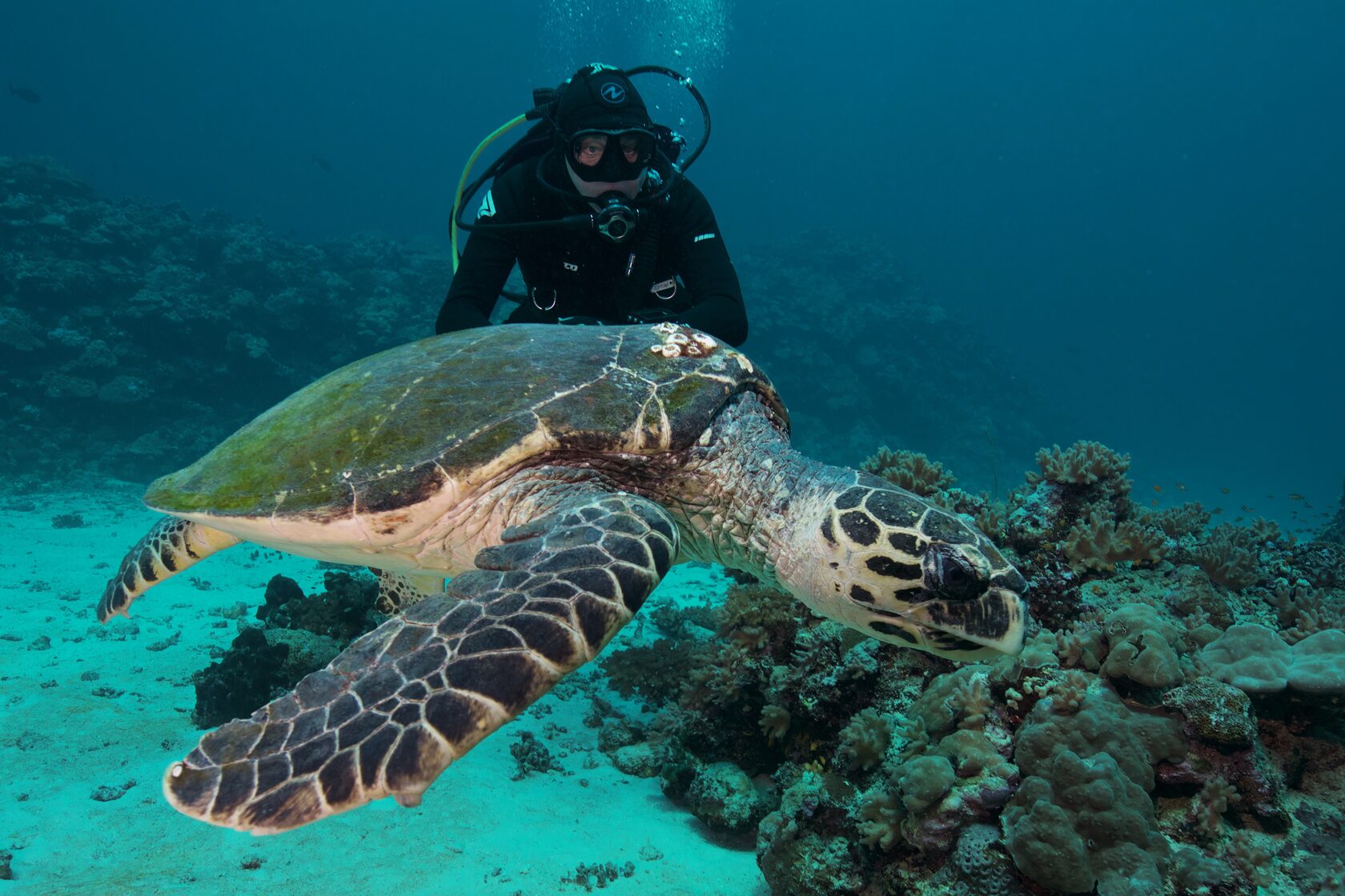 Саудовская Аравия, март 2025